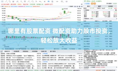 哪里有股票配资 微配资助力股市投资，轻松放大收益