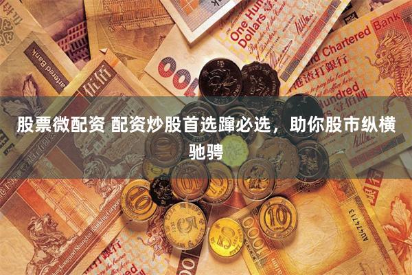 股票微配资 配资炒股首选蹿必选，助你股市纵横驰骋