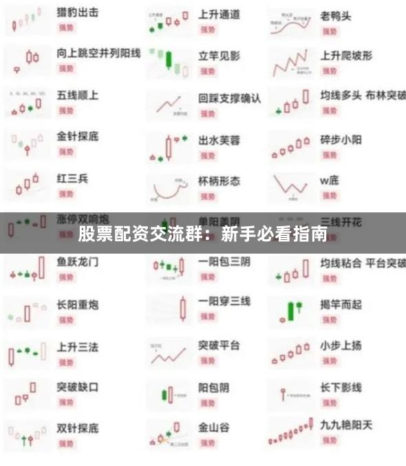 股票配资交流群:新手必看指南